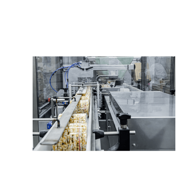 ISO 22000_Food processing industry
